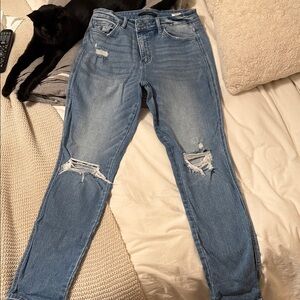 Flying Monkey Light Blue Distressed Skinny Jeans